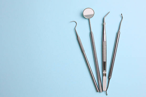 Top rated local Dental specialists in Stony Point, MI
